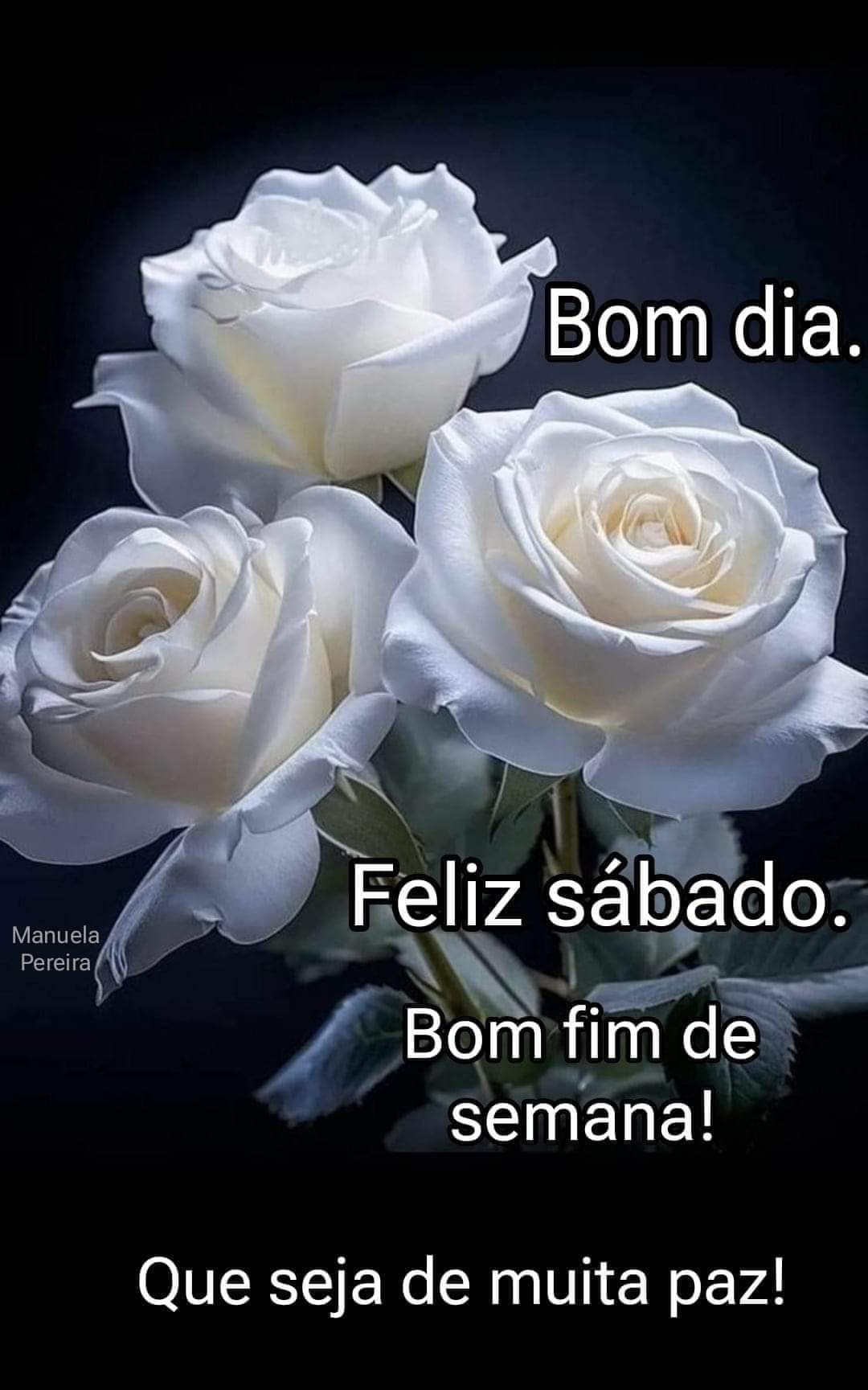 Ir Para